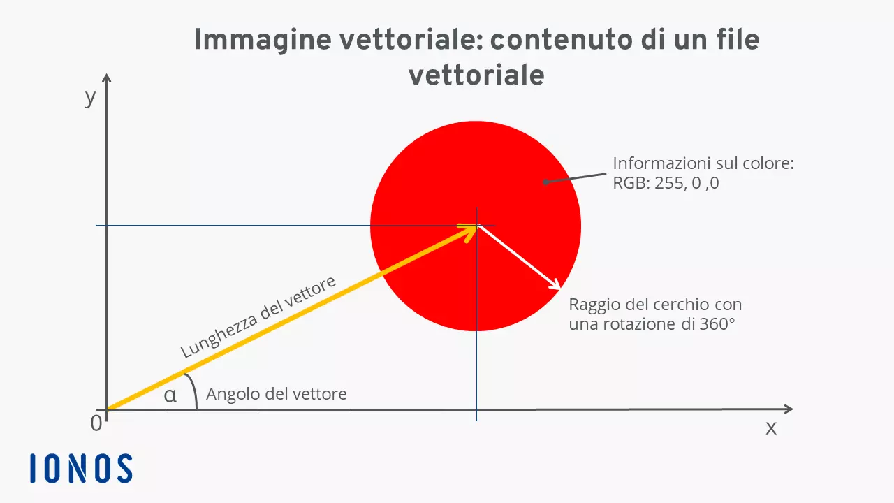 Illustrazione dei dati necessari per la costruzione di un’immagine vettoriale