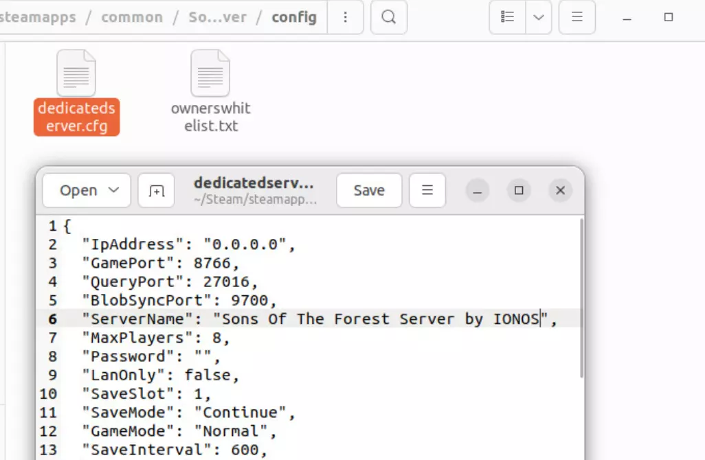 Server Ubuntu “Sons of the Forest”: configurazione