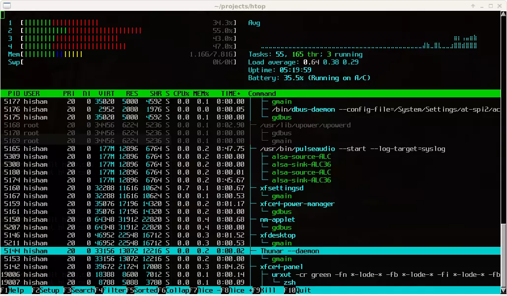 Visualizzazione dei processi con htop