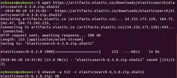 Screenshot della console nell’installazione di Elasticsearch