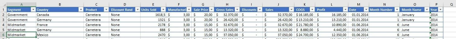 Esempio di tabella con riga selezionata in Excel 2016