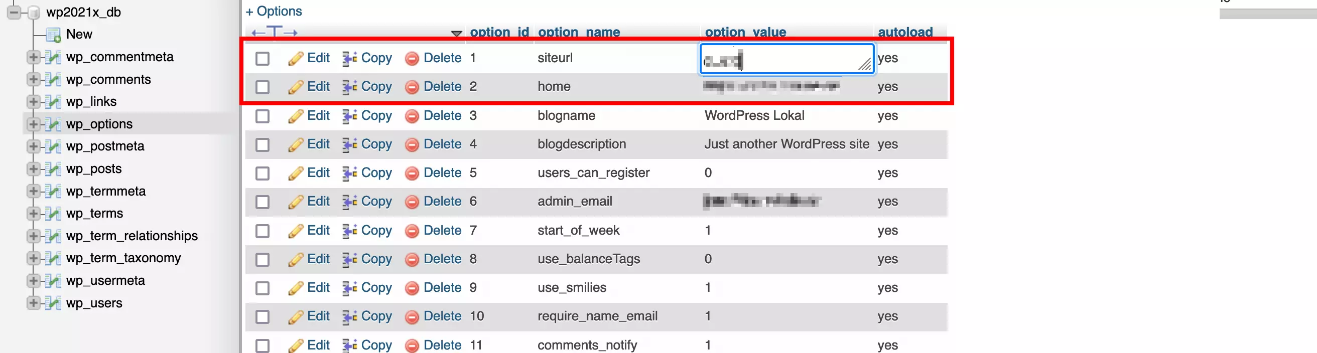 wp_options nel database di WordPress