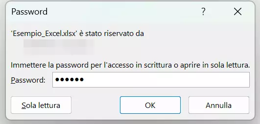 Finestra di inserimento password di un file in sola lettura su Excel