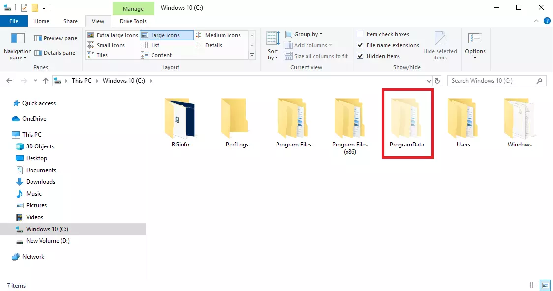 Visualizzazione dei file nascosti resi visibili in Windows 