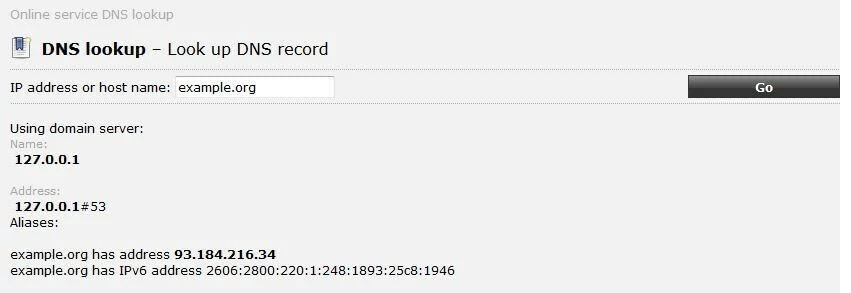 “DNS lookup” su ping.eu