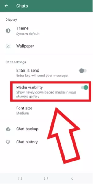 Screenshot di un Android con la funzione “Visibilità dei media” abilitata