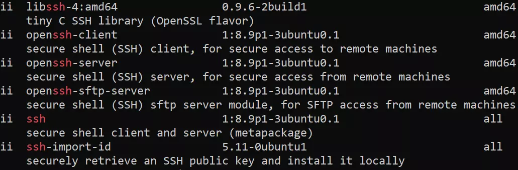 Terminale: pacchetti OpenSSH installati