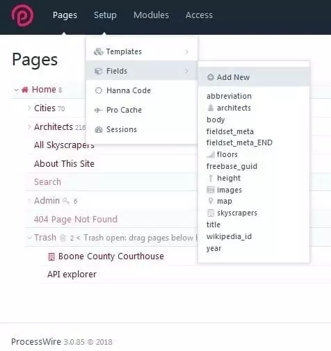 ProcessWire: menu per la creazione di un nuovo campo