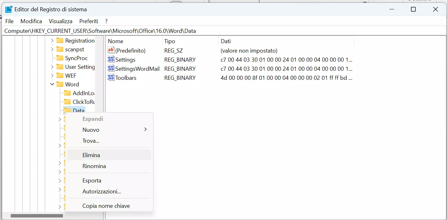 Word non si apre: eliminare la chiave del registro di sistema