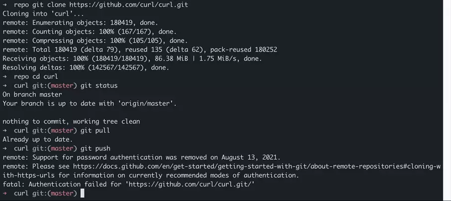 Risultato di git pull e git push sul repository locale cURL