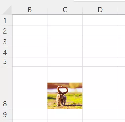 Un’immagine in Excel adattata alla dimensione della cella