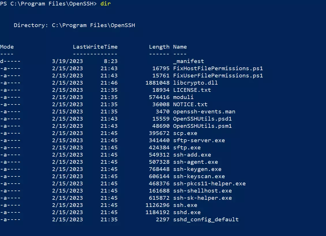 PowerShell: elenco dei file nella cartella OpenSSH