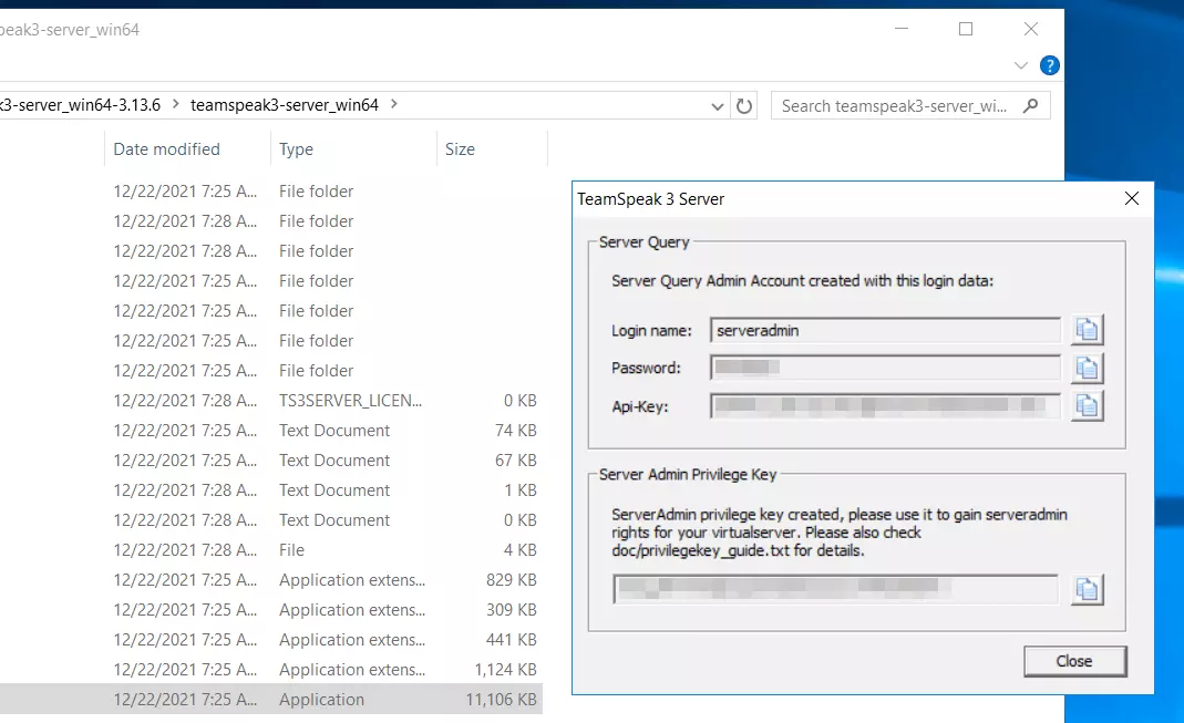 Server TeamSpeak 3: dati di accesso da amministratore