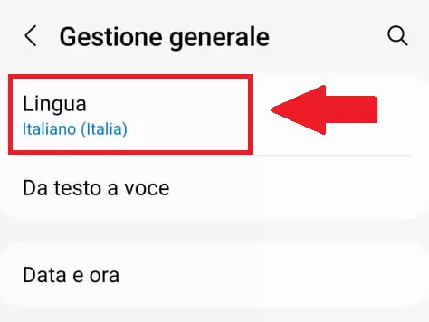 La voce “Lingua” nel menu della Gestione generale di Android