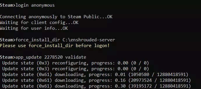 Server per Enshrouded: installazione tramite SteamCMD