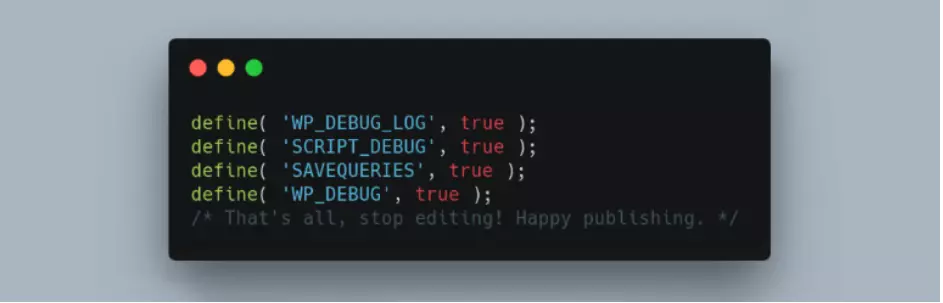 Screenshot del plugin WP Debugging