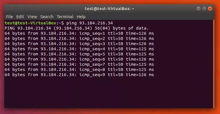 Ping continuo nel terminale Linux