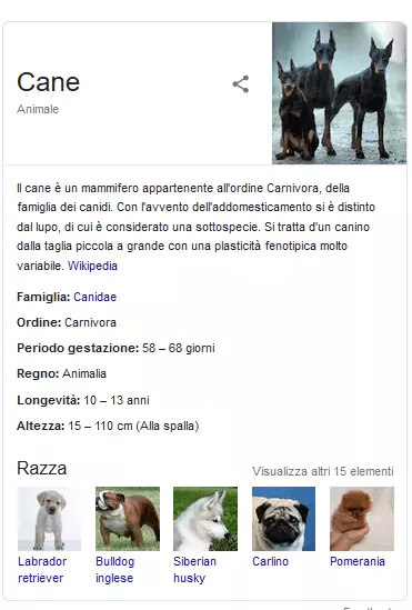 Knowledge Panel del Knowledge Graph