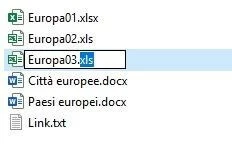 File Excel nella vista elenco – è stato aperto il campo del nome di un file per rinominare l’estensione