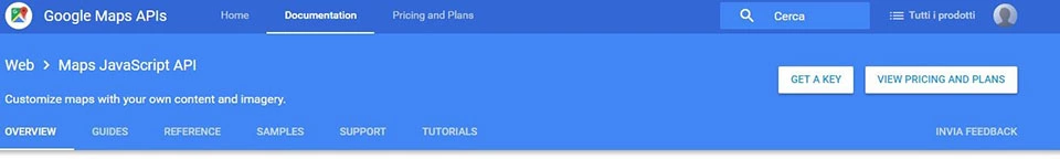 Le API JavaScript di Google Maps