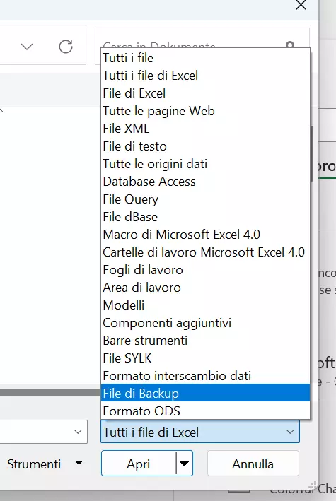 Aprire file di backup su Excel