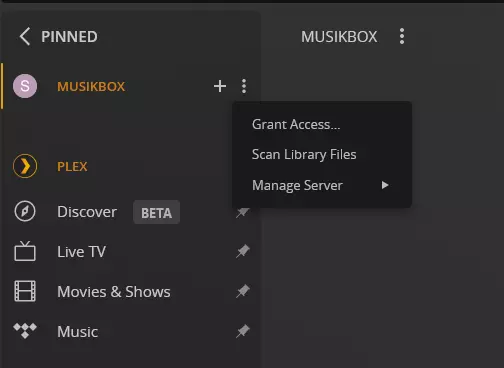 Percorso per gestire Plex Media Server e applicare le impostazioni