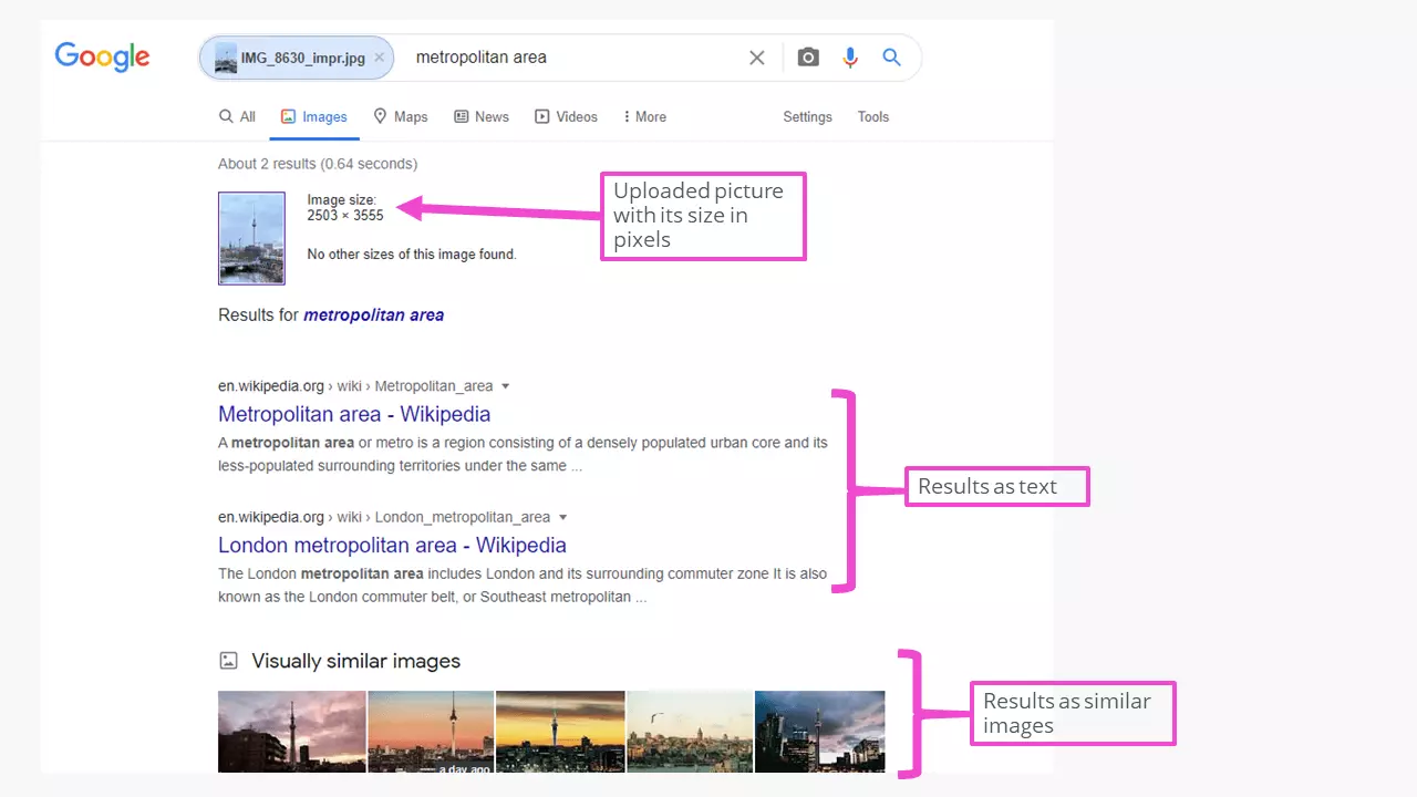 Ricerca inversa delle immagini: risultati di Google Immagini