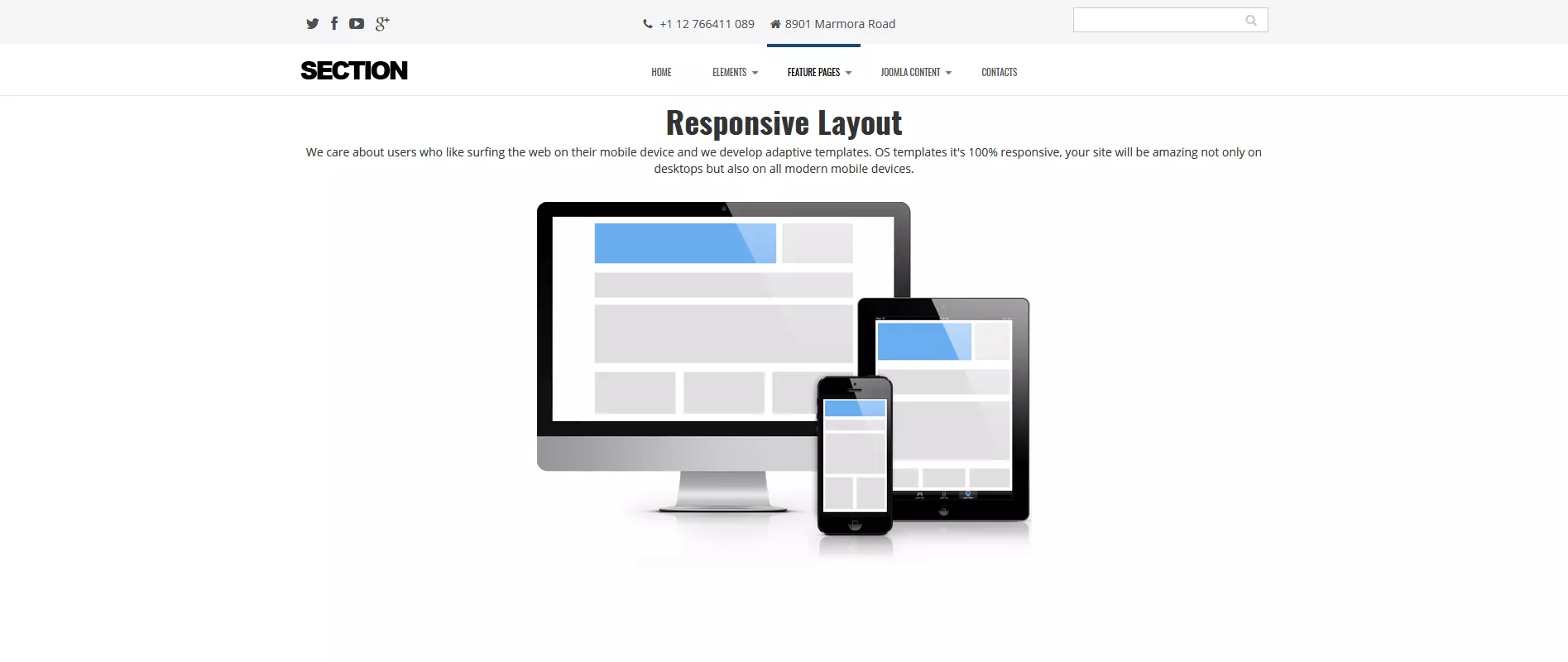 Screenshot del template di Joomla Section