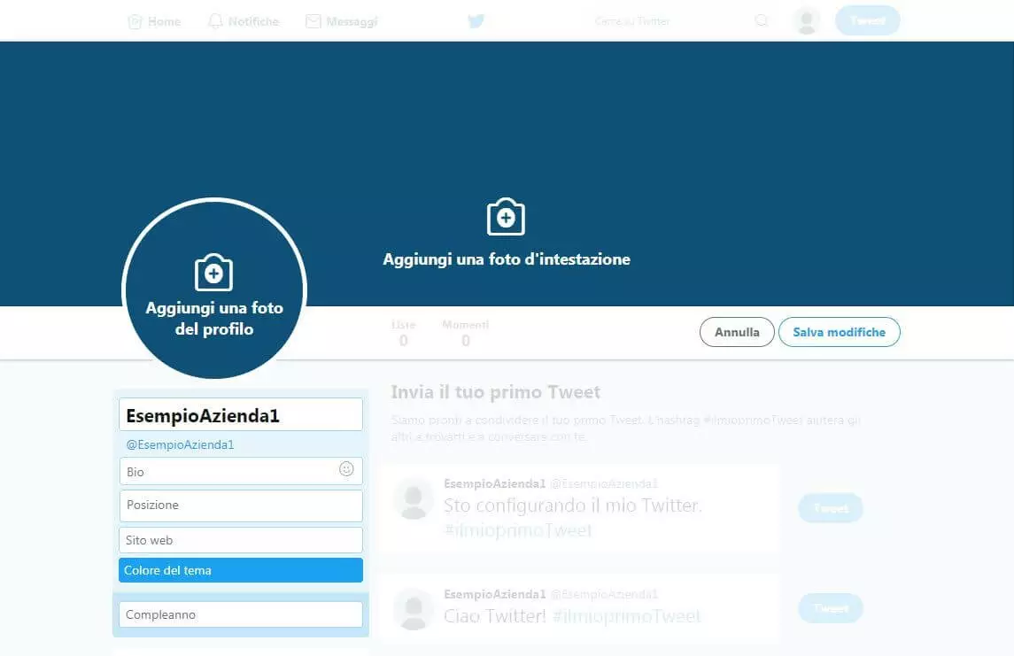 Screenshot della maschera di Twitter tramite cui impostare il proprio account