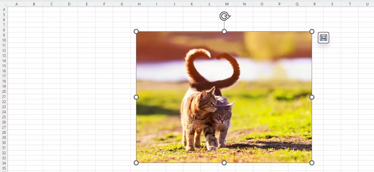 Adattare l’immagine in Excel con il mouse