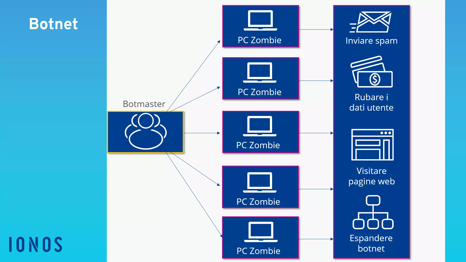 Struttura di una botnet