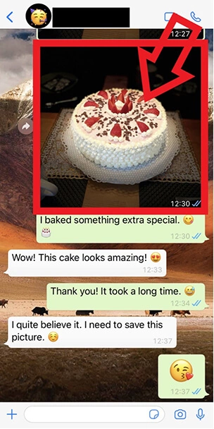 Screenshot iPhone di una chat WhatsApp con una foto selezionata