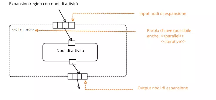 Notazione della regione di espansione con nodi di attività all’interno di un diagramma di attività