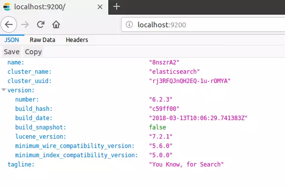 Le informazioni su Elasticsearch vengono mostrate sull’host locale