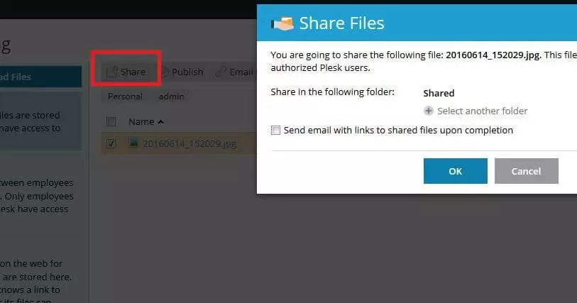 La finestra di dialogo per la condivisione dei file con Plesk