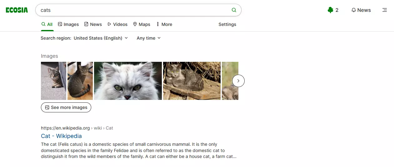 Risultati di ricerca su Ecosia per il termine “Cats”