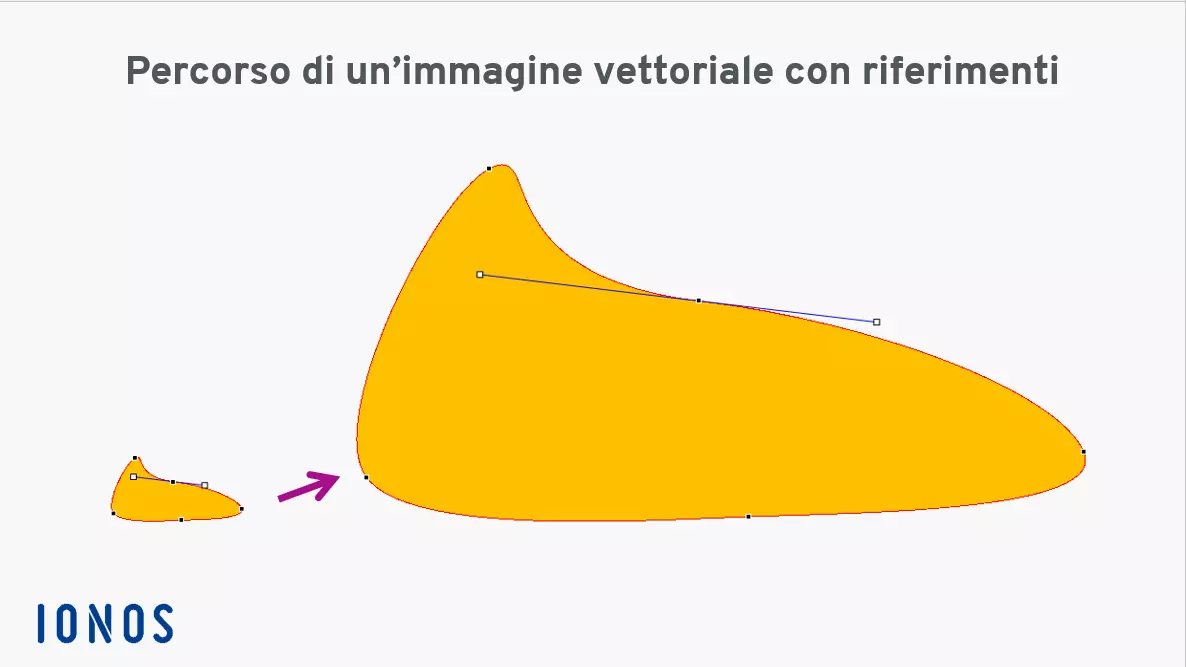 La struttura di una grafica più complessa