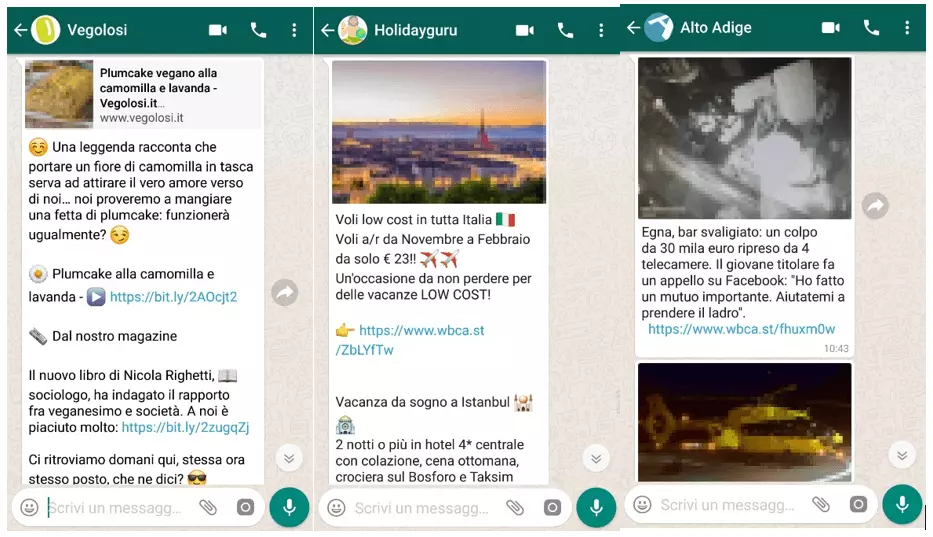 Esempi di newsletter su WhatsApp