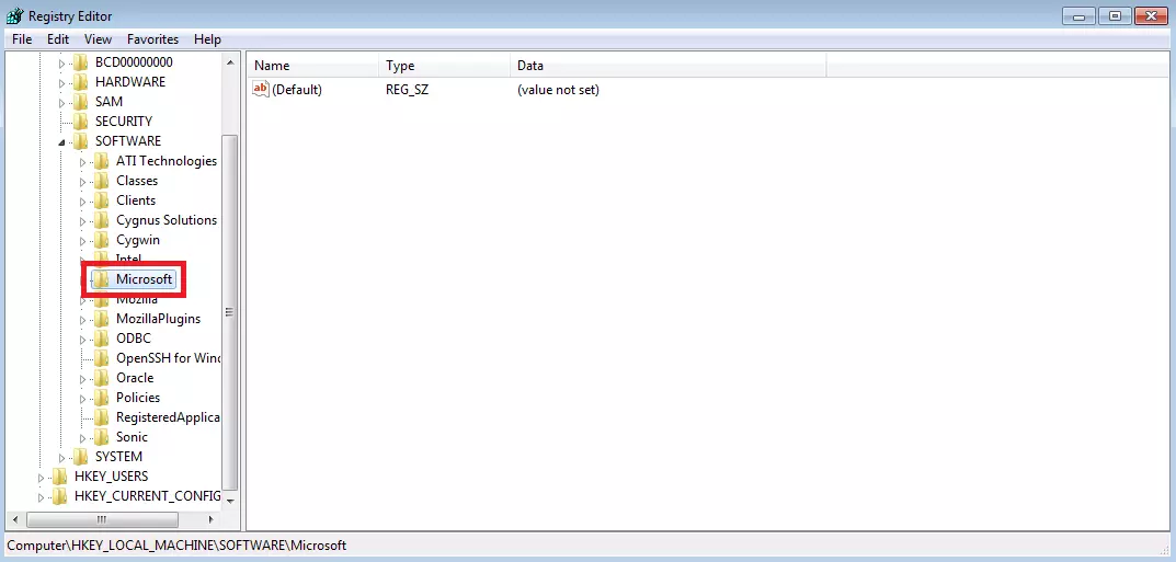 “Microsoft” del Registro di sistema di Windows