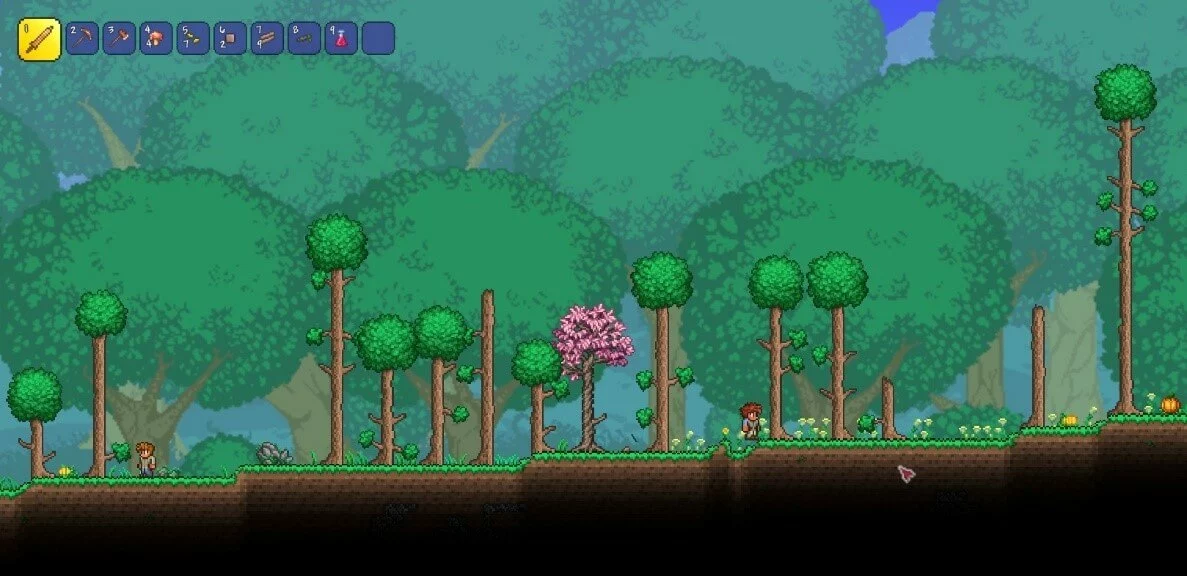 Scena di gioco da Terraria