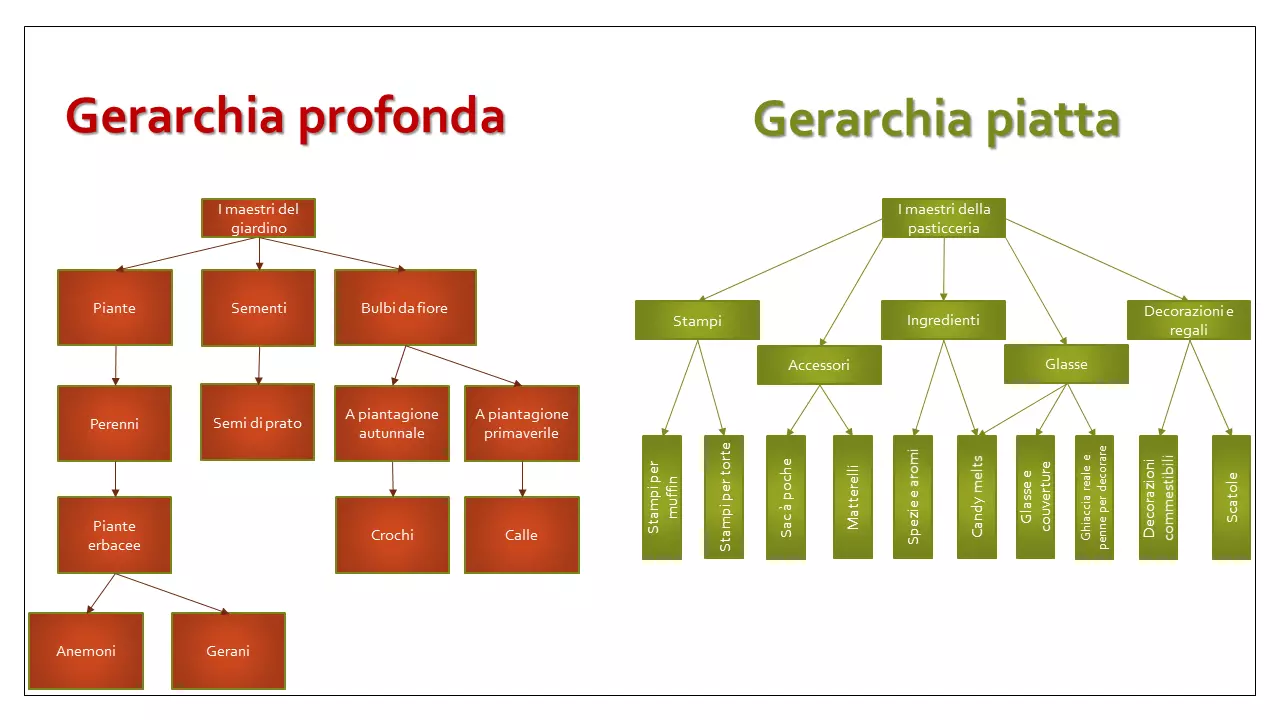 Categorizzazione e gerarchia di due domini