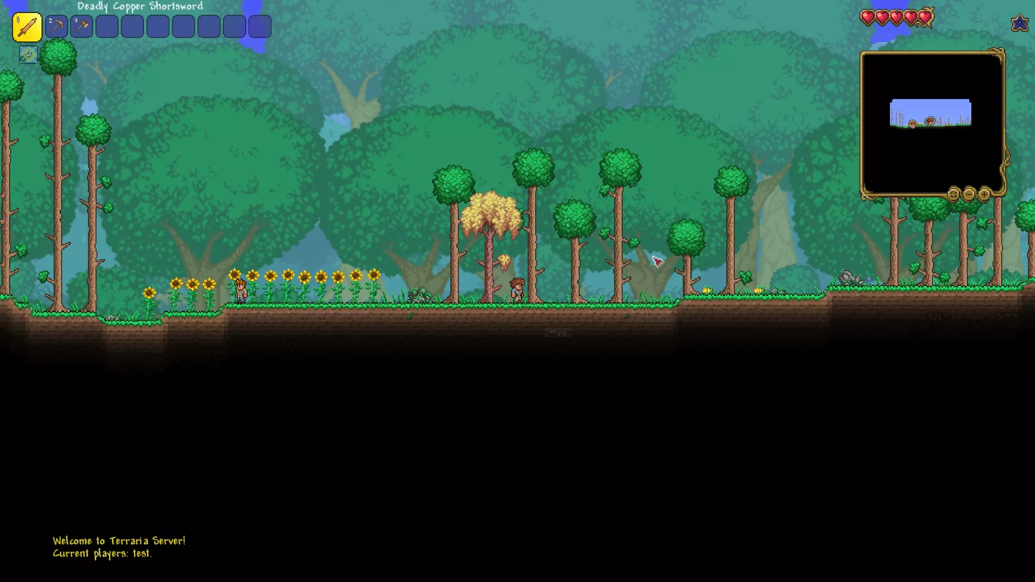 Screenshot tratto dal gioco Terraria