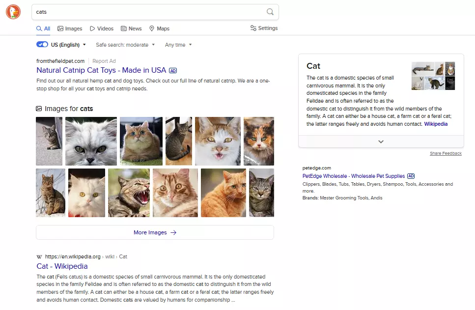 Risultati di ricerca per il termine “Cats” su DuckDuckGo