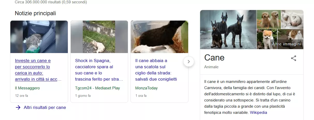 Knowledge Graph di Google per la query “cane”