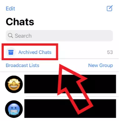 Screenshot dell’opzione “Chat archiviate” di WhatsApp di un iPhone, che appare sopra l’elenco delle chat