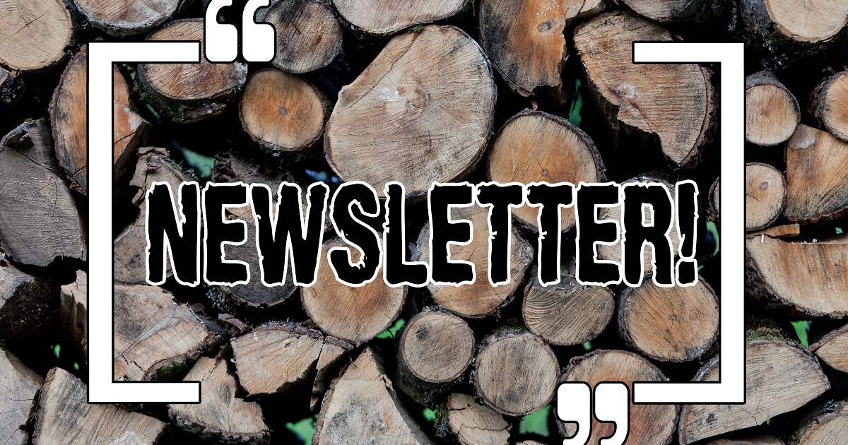 Newsletter marketing: consigli per avere successo inviando newsletter professionali