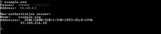nslookup su Windows: query del dominio example.org