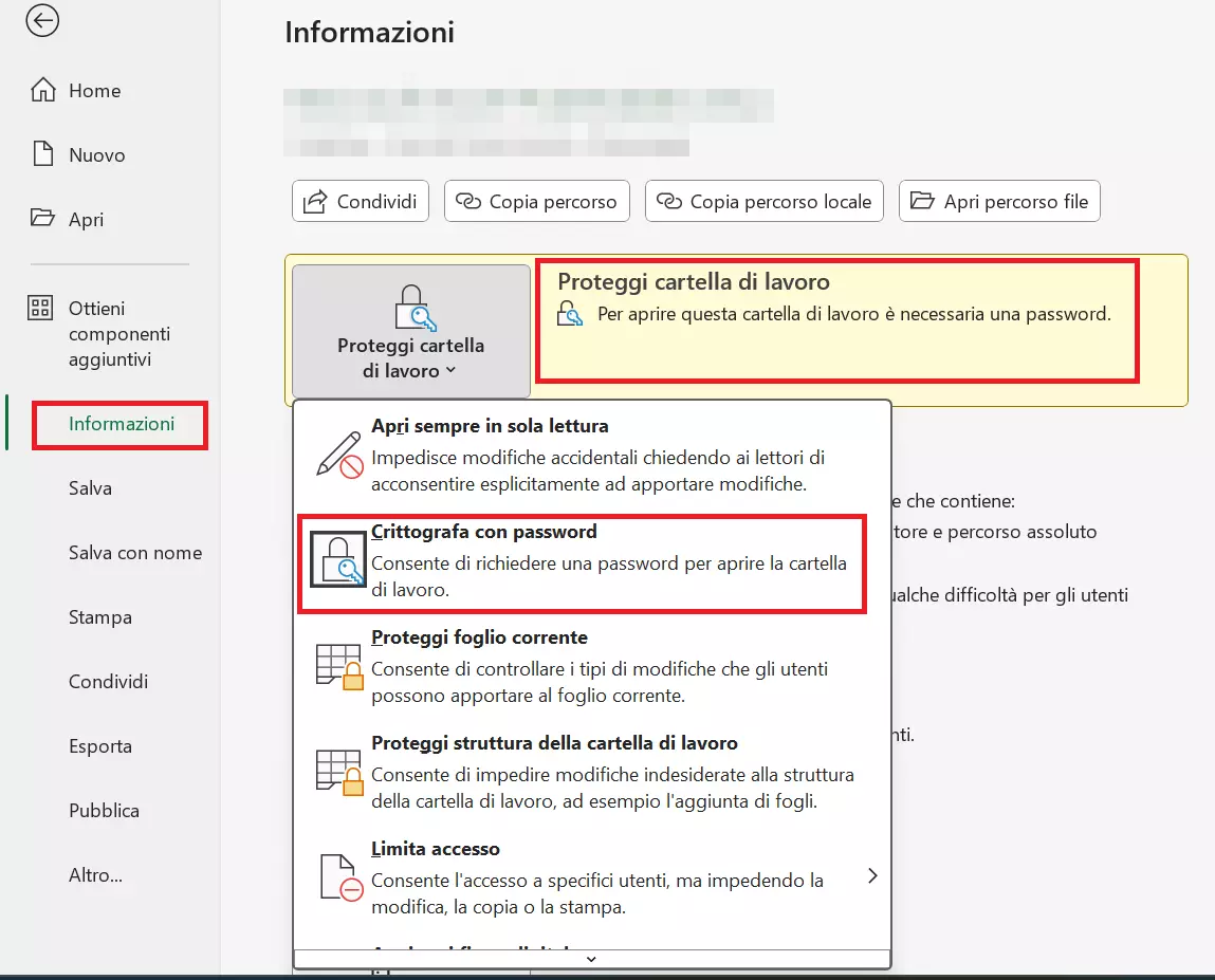 Menu “File” > “Informazioni” > “Crittografa con password”