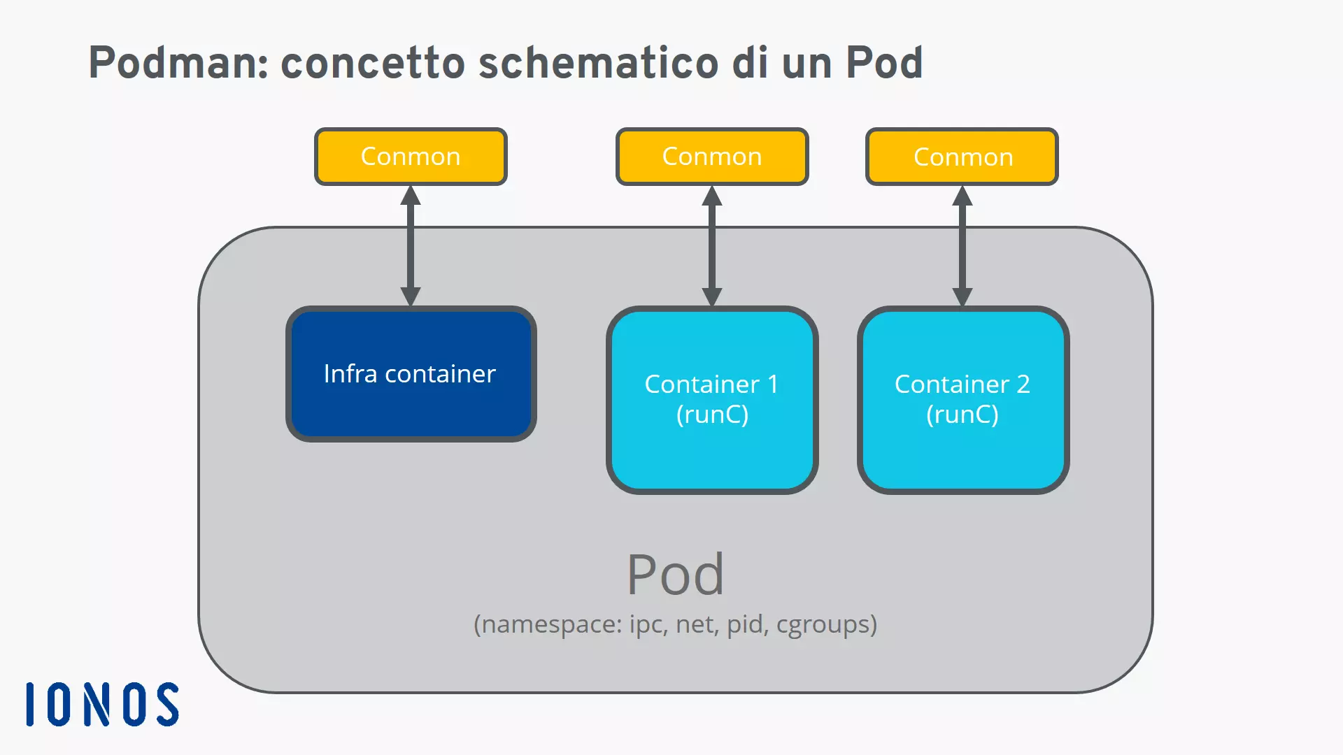 Grafico: schema della struttura di un pod