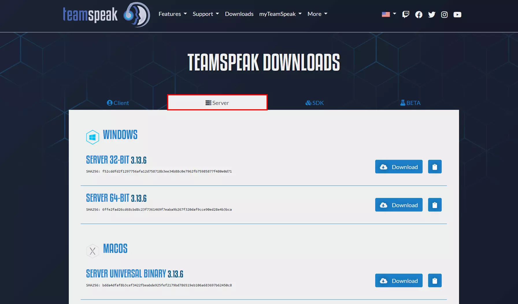 Screenshot della pagina di download di TeamSpeak